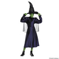 Kids Classic Wicked: For Good Elphaba Dress Costume