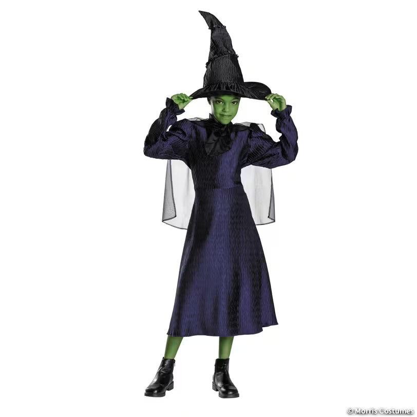 Kids Classic Wicked: For Good Elphaba Dress Costume