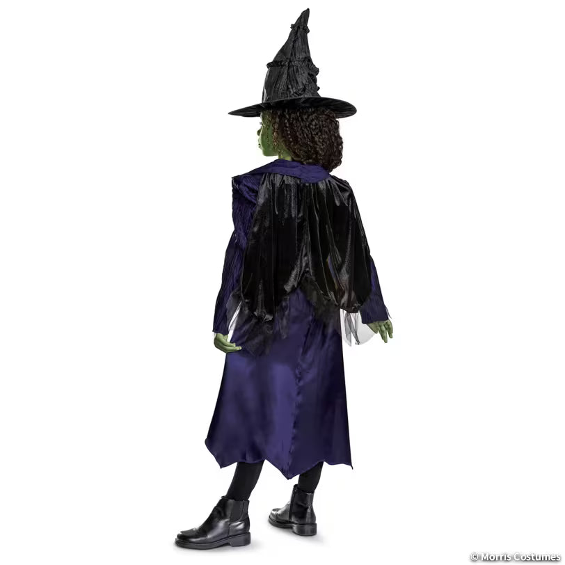 Kids Classic Wicked: For Good Elphaba Dress Costume