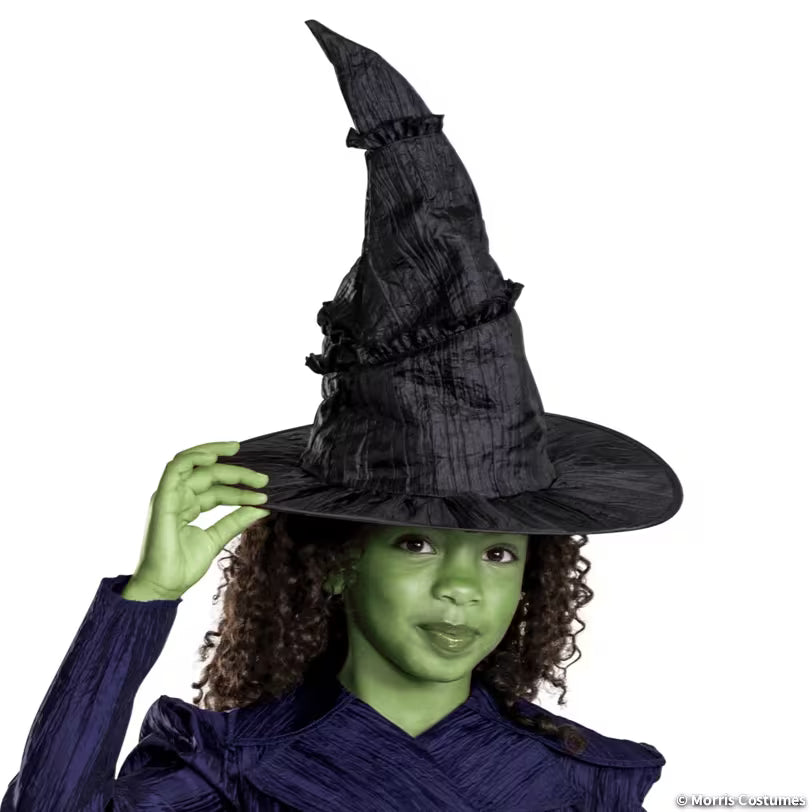 Kids Classic Wicked: For Good Elphaba Dress Costume