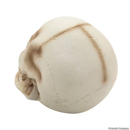 Rear view of giant light-up skull Halloween decoration