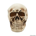 Front view of giant light-up skull Halloween decoration