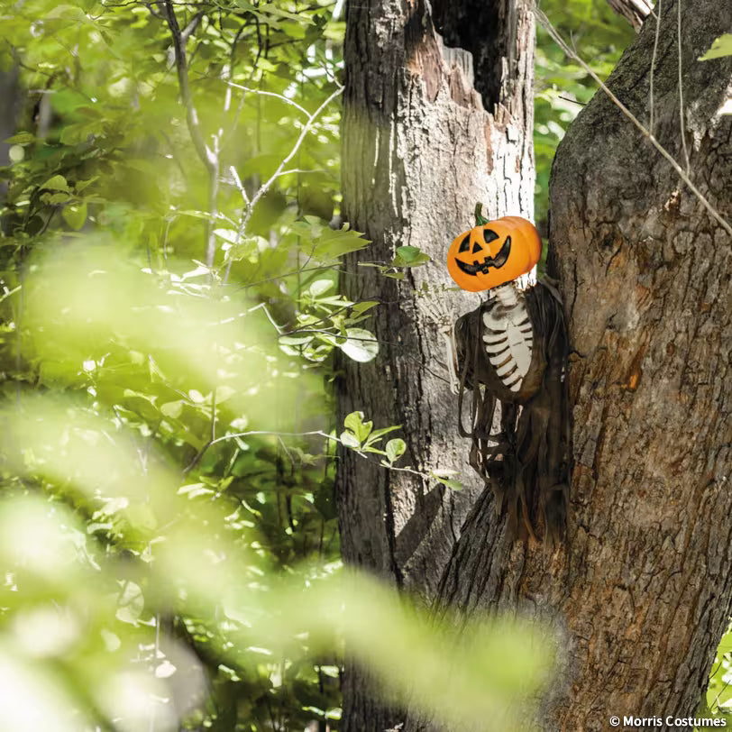 Waving Pumpkin Creeper Hanging Decoration – image 2