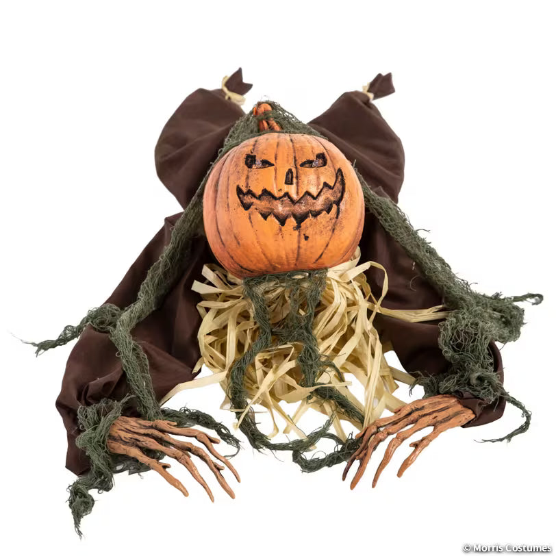 Animated Crawling Pumpkin Head Man – image 3