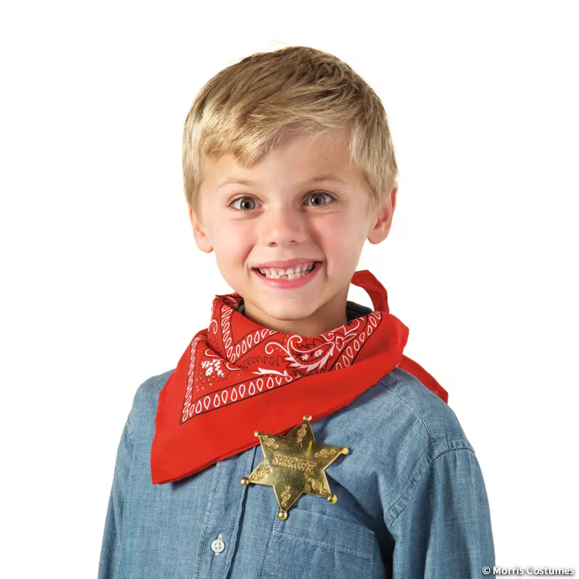 Brass Sheriff Star Costume Badge – image 1