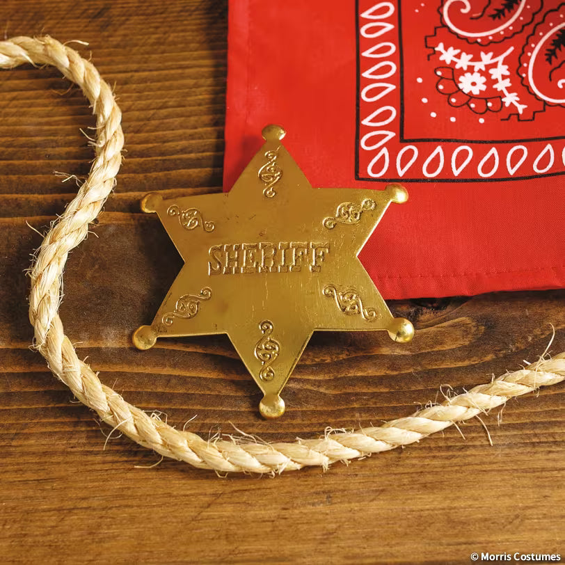 Brass Sheriff Star Costume Badge – image 2