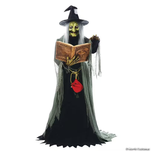 Spell-Speaking Witch animatronic with hat and spell book, front view